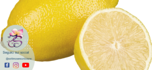 limone struttura pelle del viso papavero rimodellamento corporeo metodo Settimo Senso® Riccione