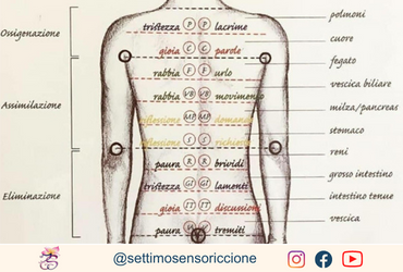 EMOZIONI TRATTENUTE E METAMERI