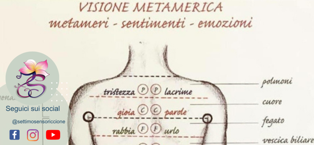 emozioni mal di schiena metameri schiena connettivale massaggio Settimo Senso® Riccione