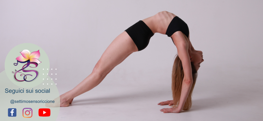 esercizio 4 yoga stretching meridiani stomaco elemento terra riequilibrio corporeo massaggio shiatsu metameri Settimo Senso® Riccione