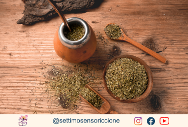 yerba mate erba Settimo Senso Riccione