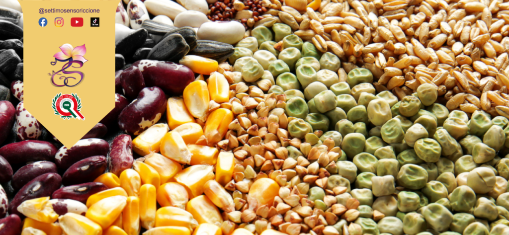 2 alimentazione riso legumi alimentazione meridiano miliza settimo senso riccione